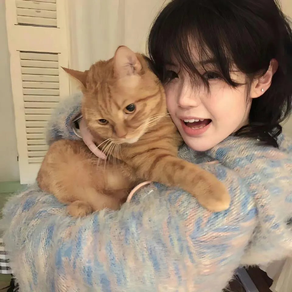 神之驹 海报